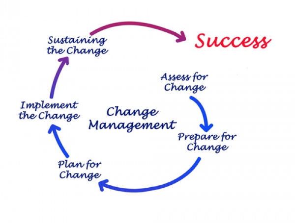 managing change factum ltd management of change